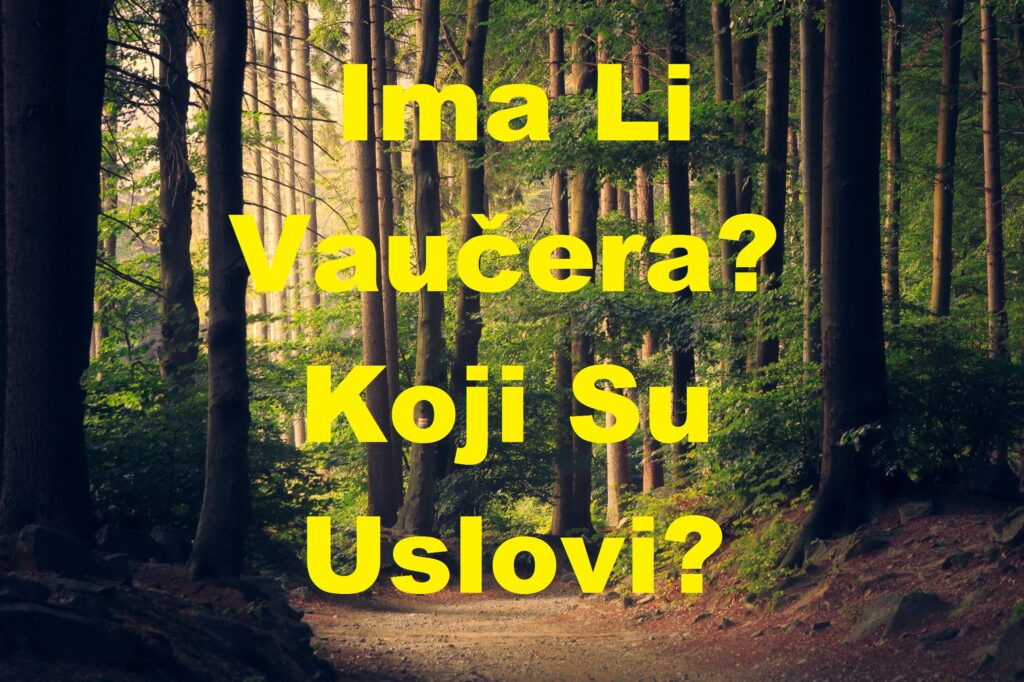 Ima li vaučera? Koji su uslovi za dobijanje vaučera?